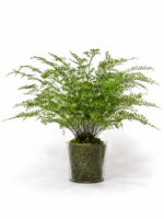 Папоротник искусственный в стекле